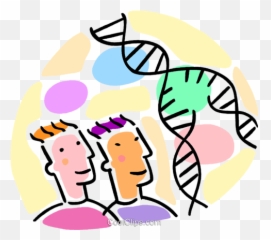 Dna Strand Royalty Free Vector Clip Art - For Adult Png,Dna Strand Png
