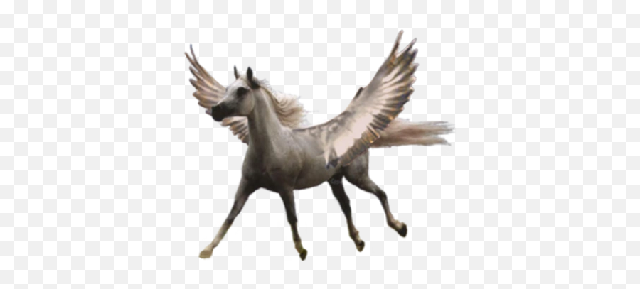 Fullscreen Page Wixtest - Realistic Pegasus Transparent Background Png,Pegasus Png