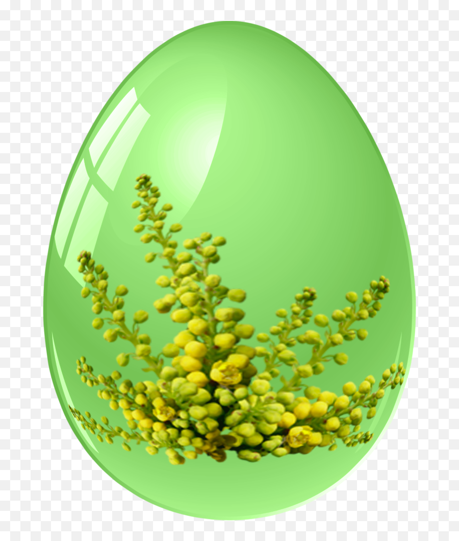 Download Hd Fotki Easter Egg Basket - Easter Egg Green Faberge Png,Easter Eggs Transparent Background