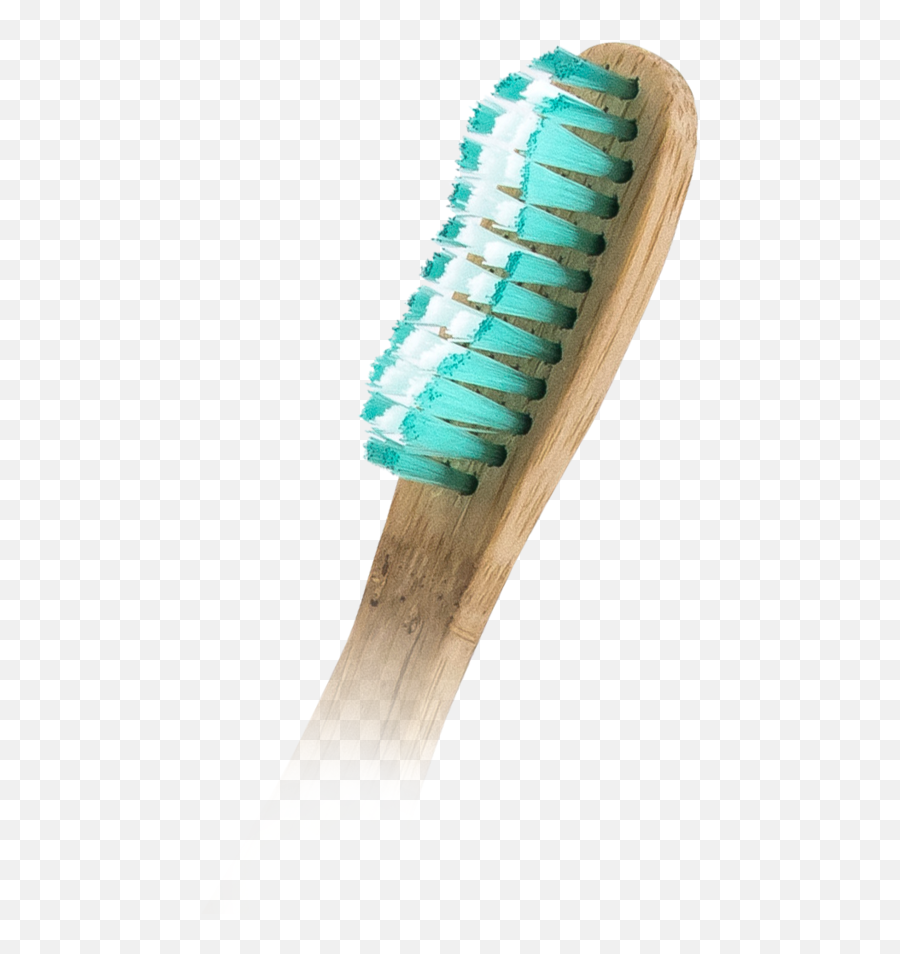 Download Gleam Bamboo Brush Gbb - 003 Toothbrush Full Size Baby Bottle Brush Png,Tooth Brush Png