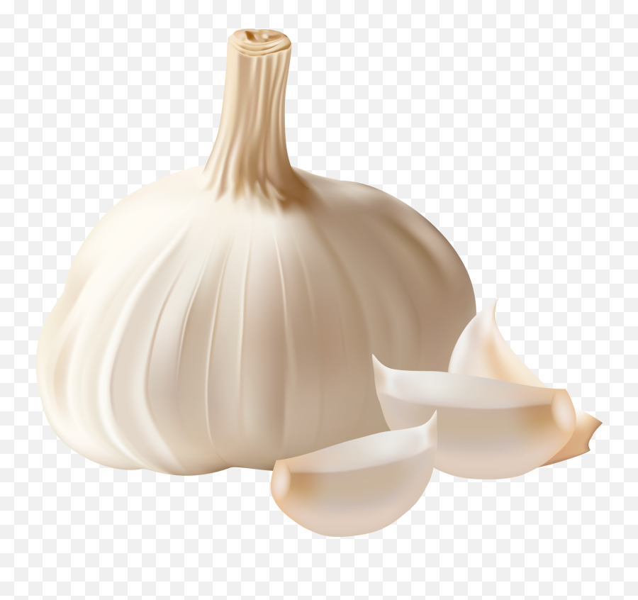 Garlic Vegetable Food Condiment - Broke Garlic Png Download Garlic,Garlic Png