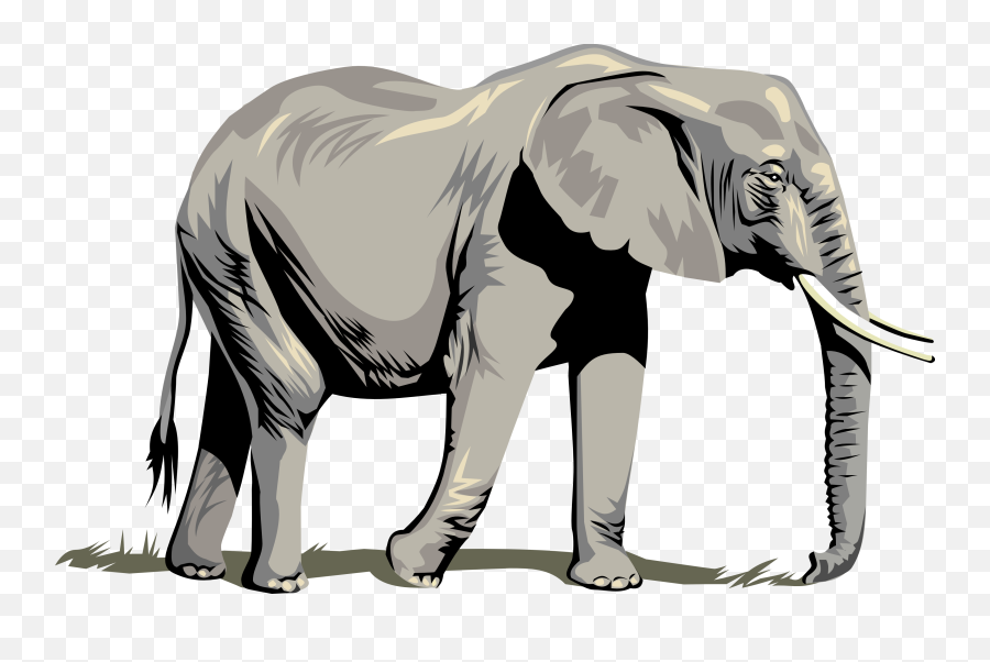 Elephant Clipart Png For Web - Transparent Background Elephant Clipart,Elephant Transparent Background