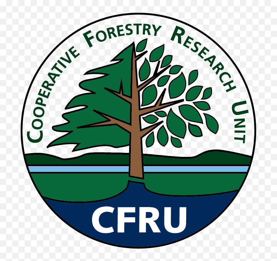 Maine Forest Service Releases 2018 Spruce Budworm Update - Cfru Maine Png,Forest Service Logo