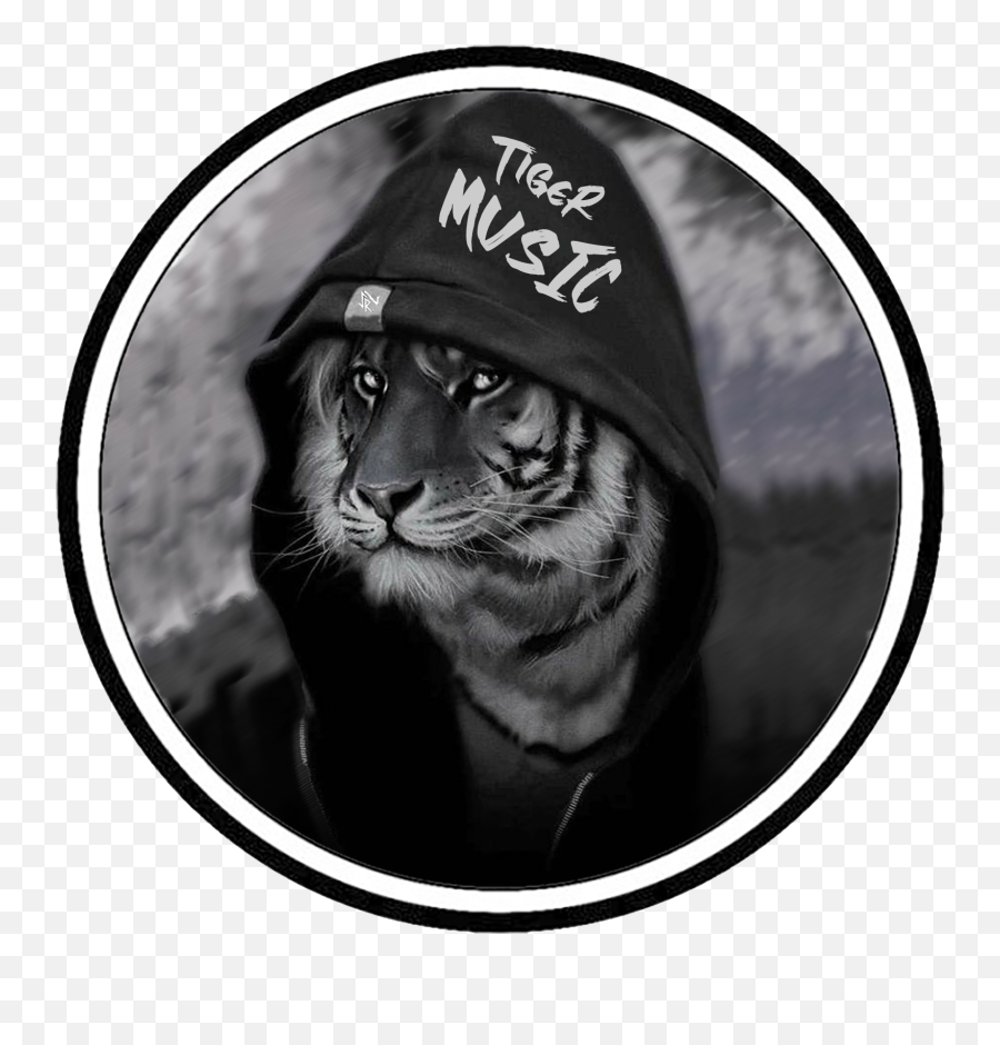 Tiger Music Logo This In 2020 Png Youtube