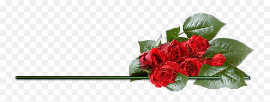 Clipart Rose Best Png Transparent - Rose Happy Birthday Transparent,Red Underline Png