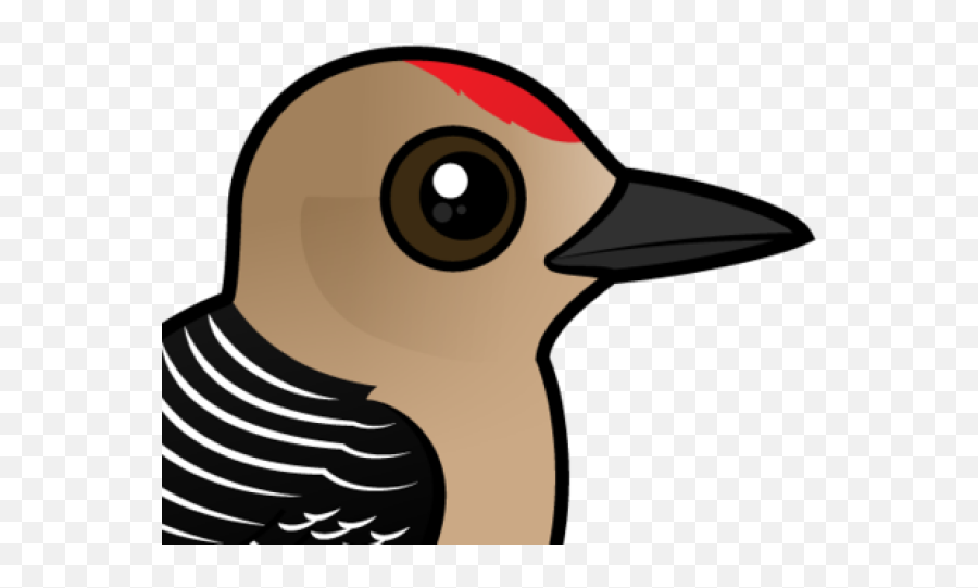 Zazzle Birdorable Gila - Red Bellied Woodpecker Cartoon Png,Woodpecker Png