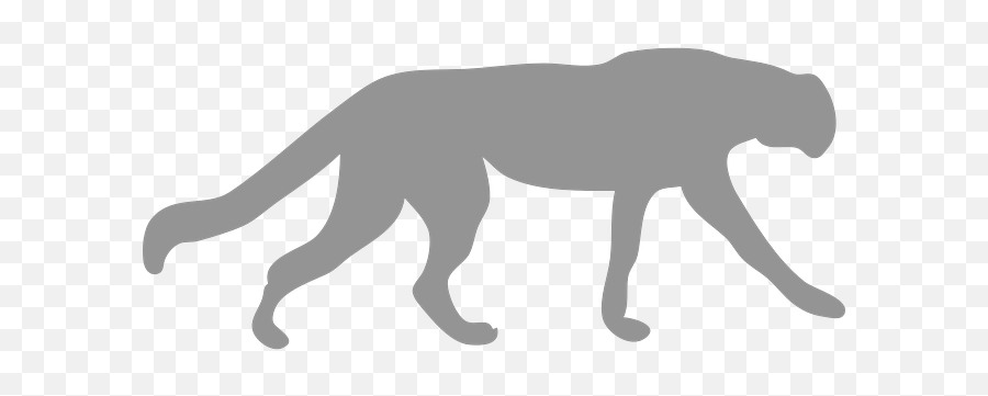 Download Hd Photo Of A Cougar Cat Outline - Black Outline Of Cheetah Shadow Png,Cat Outline Png