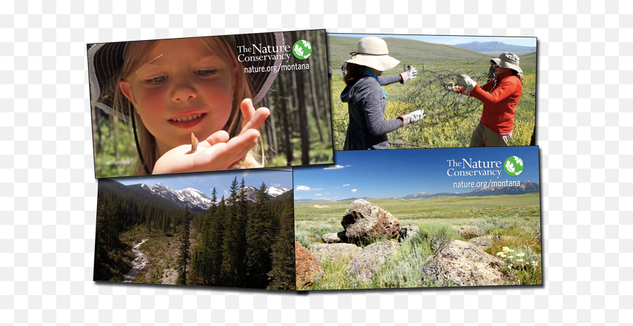 The Nature Conservancy Tv Spot Uses Cm Footage - Photomontage Png,The Nature Conservancy Logo