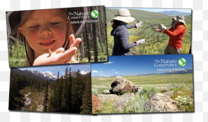 The Nature Conservancy Tv Spot Uses Cm Footage - Photomontage png