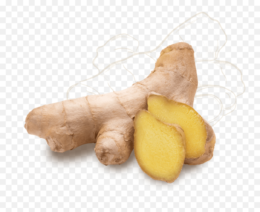 Golden Krust Caribbean Restaurant - Racine De Gingembre Frais Png,Ginger Icon