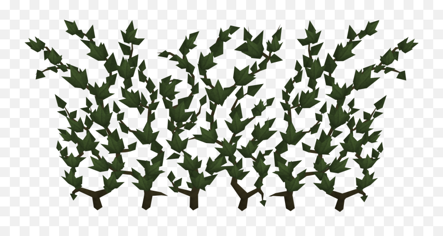 Ivy - Runescape Ivy Png,Ivy Png