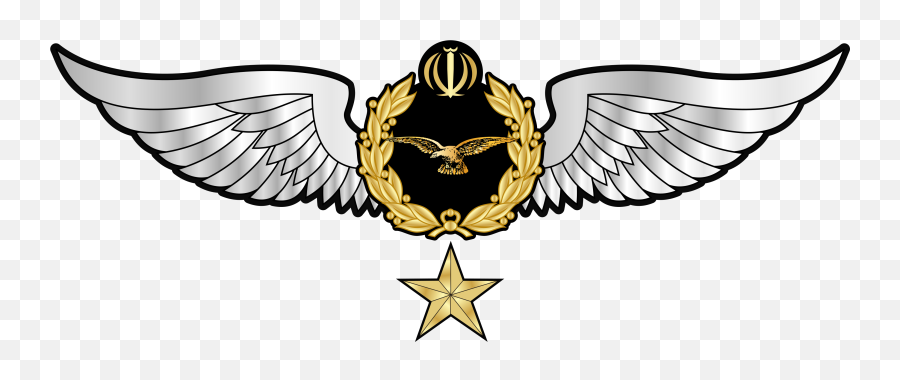 Fileiri Army Aviation Pilot Wing 3rd Classsvg - Aviation Wing Logo Png,Gold Wings Png