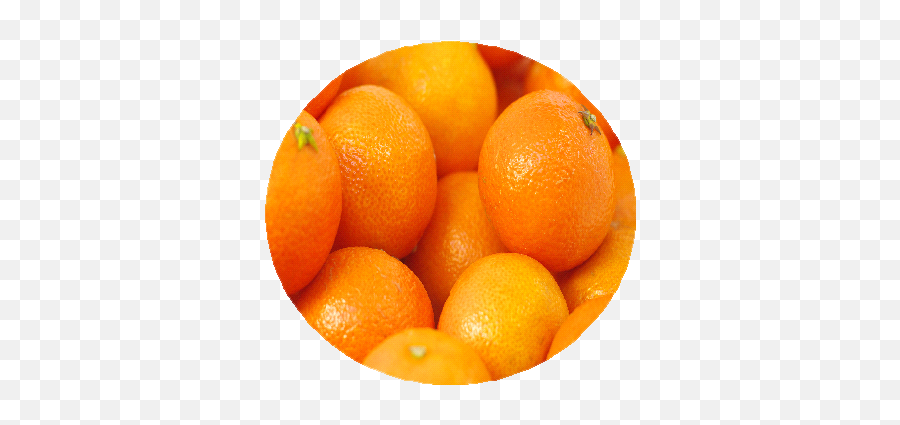Valencia Oranges - Mandarin Orange Png,Clementine Png