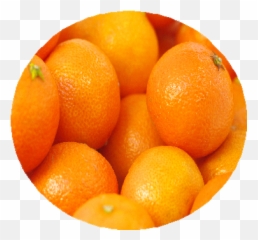 Valencia Oranges - Mandarin Orange Png,Clementine Png