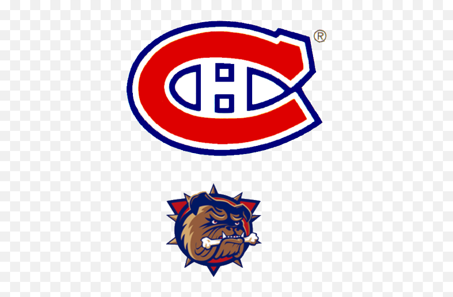 Montreal Canadiens Logo Toilet Seat - Canadiens Montréal Png,Seat Png