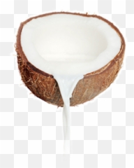 Coconut Png Free Download 20 - Coconut Milk Png,Coconut Png
