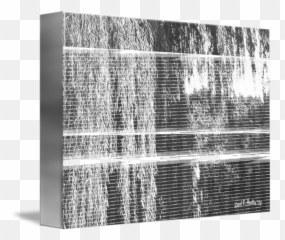Weeping Willow Tree Along The Country Road By Carol F Austin - Monochrome Png,Weeping Willow Png