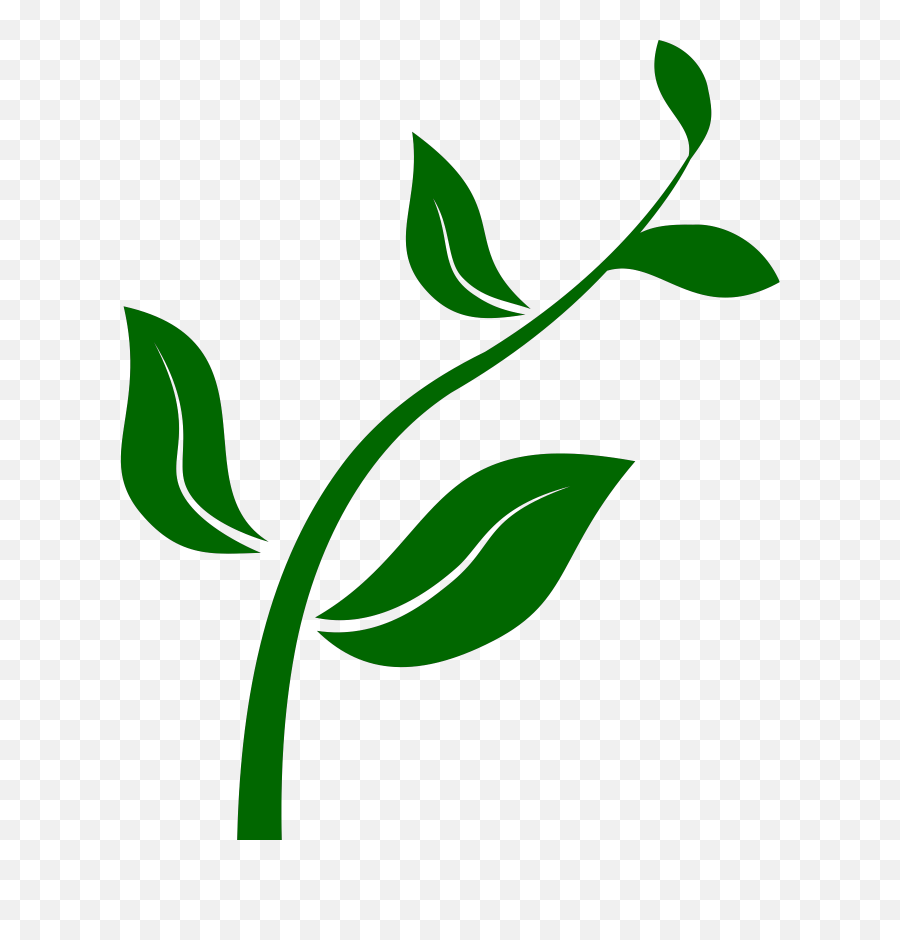 Free Plant Cartoon Download Clip - Growing Plant Clip Art Png,Plant Cartoon  Png - free transparent png images 