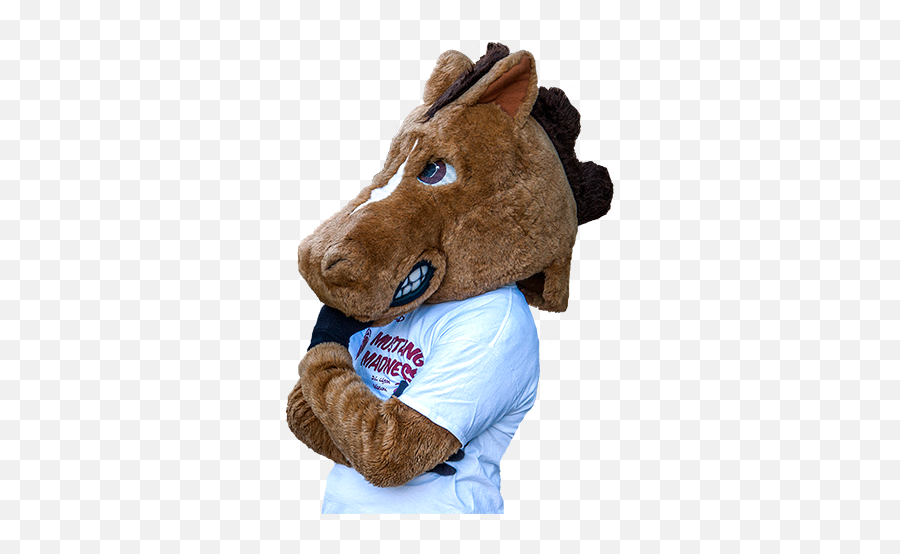 Maverick T Mustang Facts Cheerleaders Student Transition - Mustang Midwestern State University Mascot Png,Mustang Mascot Logo
