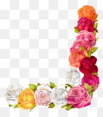 Library Of Flower Border Design Image Transparent Download - Corner Rose Border Design png
