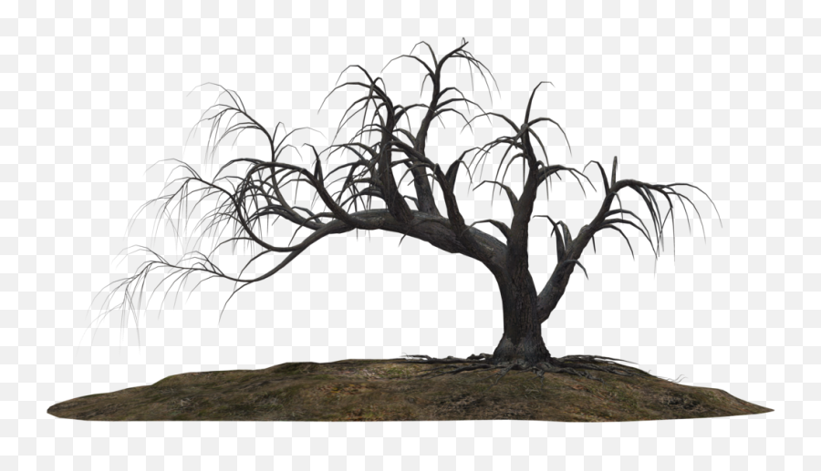 Dead Trees - Google Search With Images Tree Drawing Png,Dead Tree Png