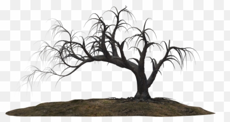 Dead Trees - Google Search With images Tree drawing png