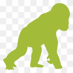 Grace Gorilla Rehabilitation And Conservation Education - Clip Art Png,Gorilla Png