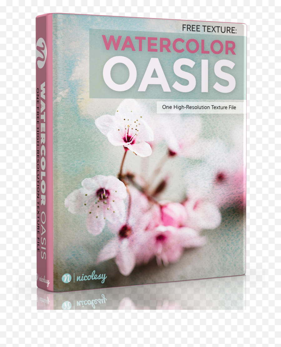 Oasis - Cherry Blossom Png,Watercolor Texture Png