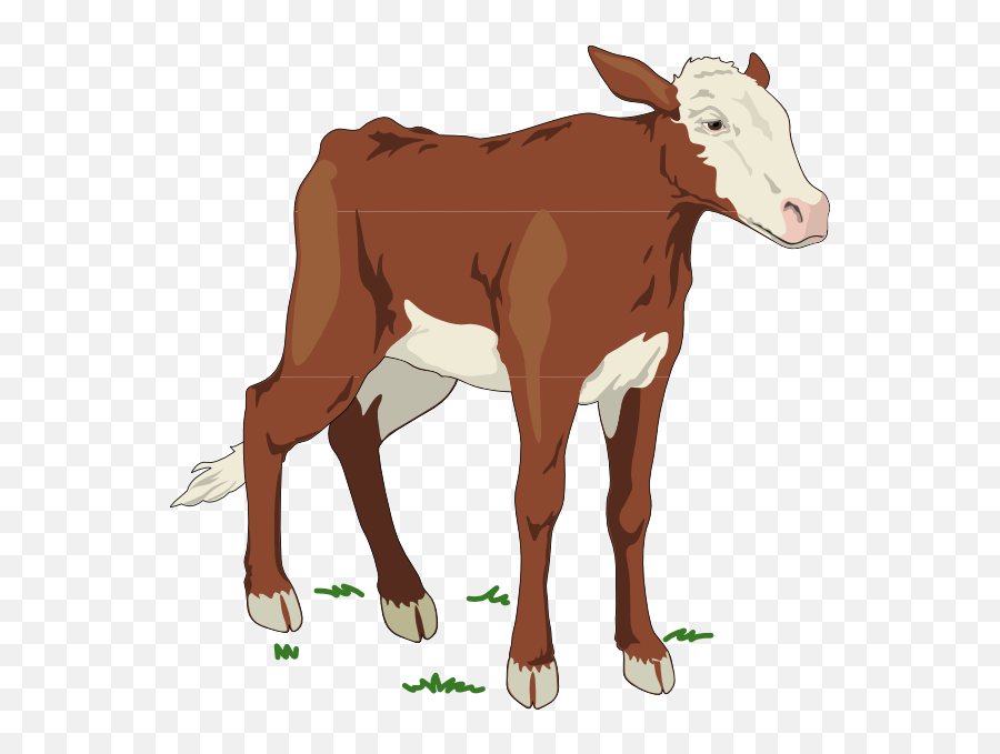 Download Baby Cow Clipart - Full Size Png Image Pngkit Clip Art Cow Baby Png,Cow Clipart Png