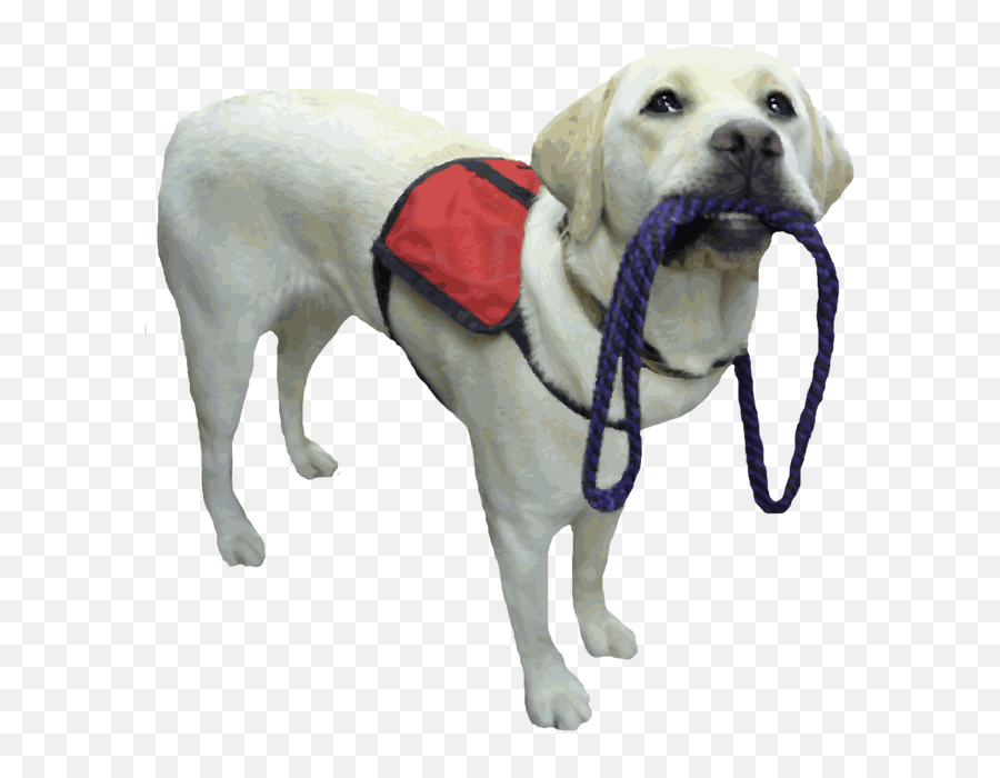 Library Of Assistance Dog Black And Whit 1775858 - Png Therapy Dogs No Background,Download.png Files