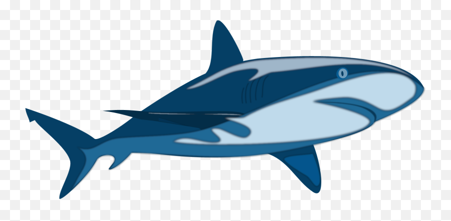 Great White Shark Svg Vector Clip Art - Shark In A Water Transparent Png,Great White Shark Png