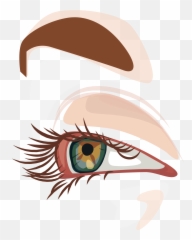 Eye Cartoon Big Eyes With God Transprent - Portable Network png