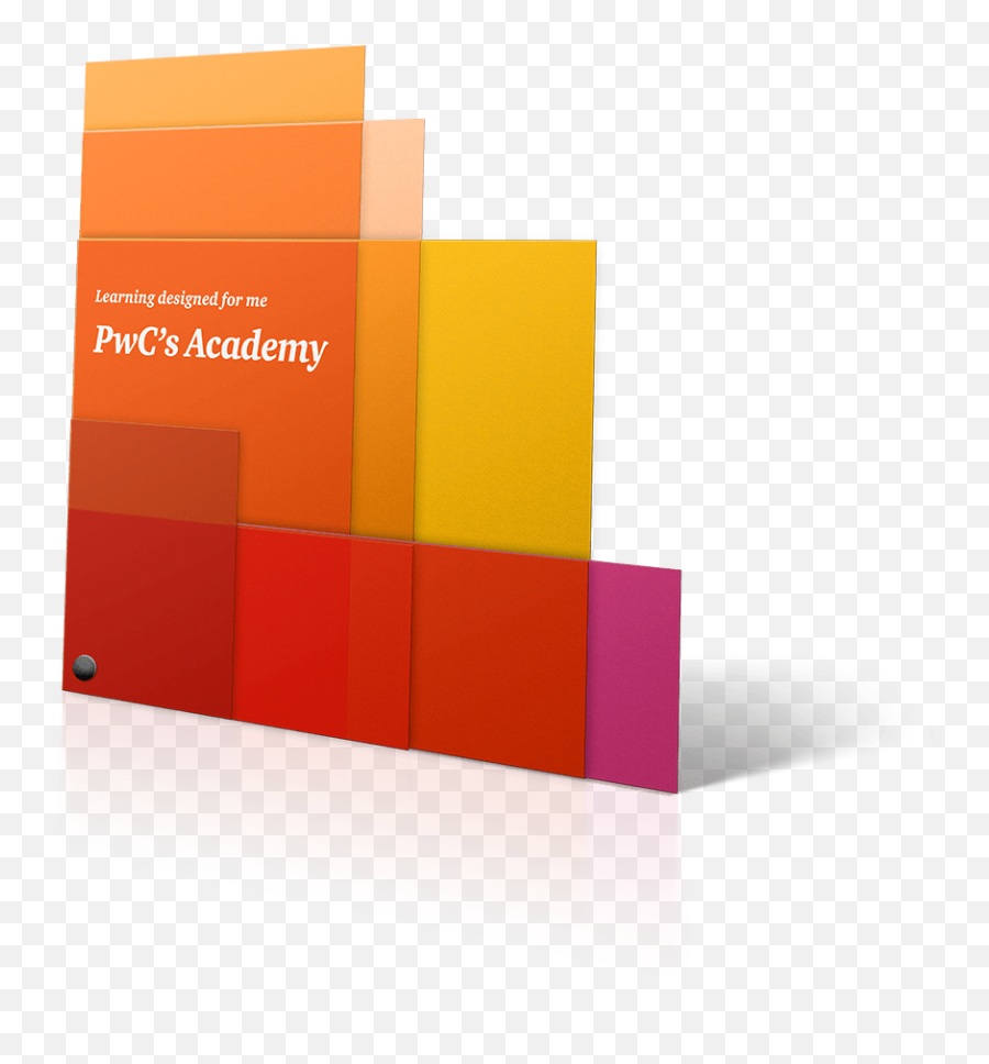 Pwcu0027s Academy - Rebranding I Idp I Luxembourg Pwc Brochure Png,Pwc Logo Png