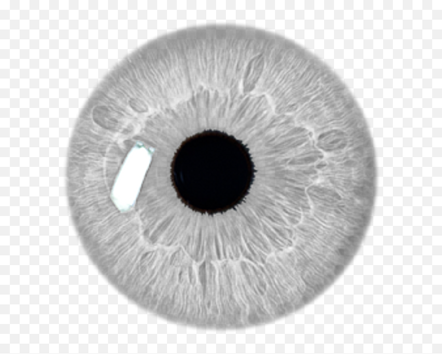 Eye White Color Transparent Png Image - Transparent Grey Eye Png,White Eye Png