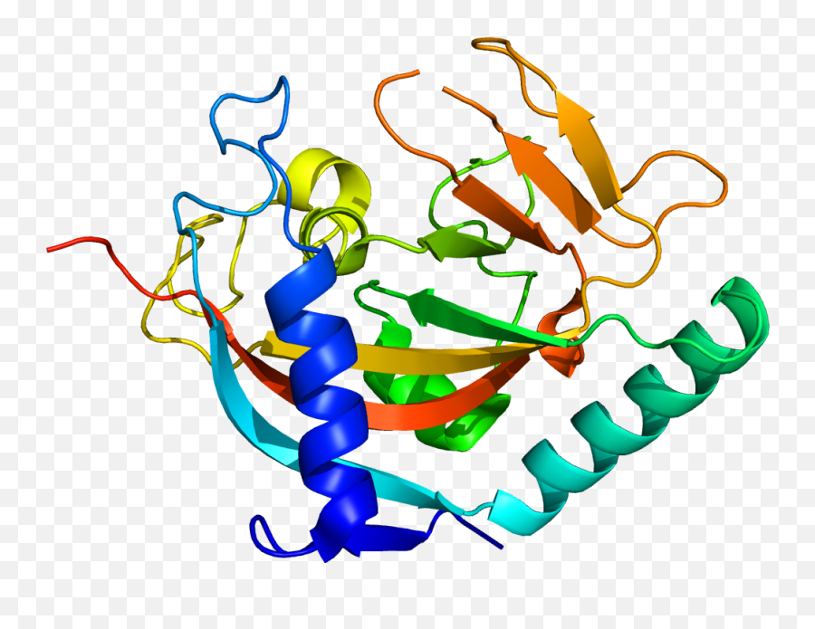 Protein Tnks Pdb 2rf5 - Protein Biology Png,Protein Png