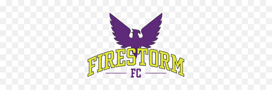 Firestorm Fc Png Logo