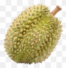 Durian Png Image With No Background - Fruit That Looks Like Dragon Egg,Durian Png