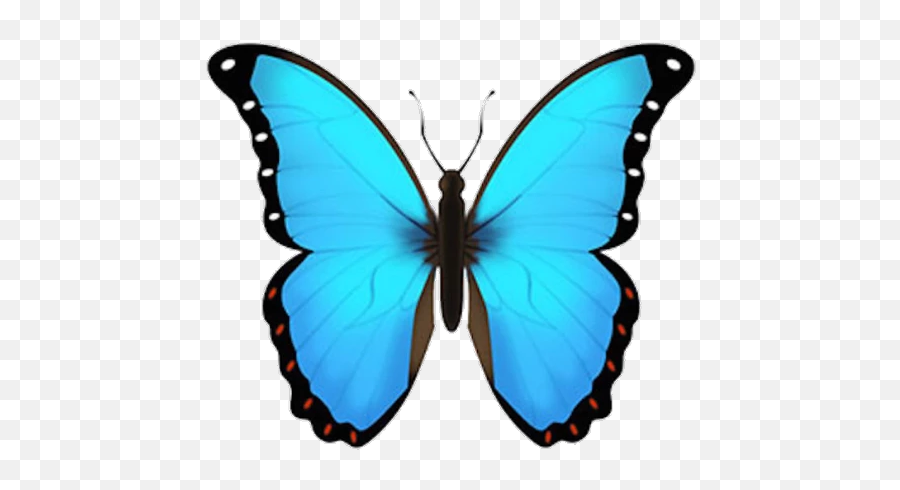 Blue Emoji Cute Wallpaper - Blue Butterfly Emoji Png,Butterfly Emoji Png