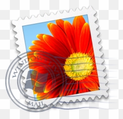 Windows Live Mail Icon 512x512px Png Icns - free Icon