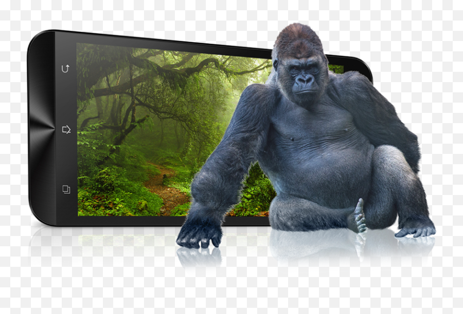 Zenfone 2 Laser Ze550kl Phone Asus - Gorilla Transparents Png,Gorilla Transparent