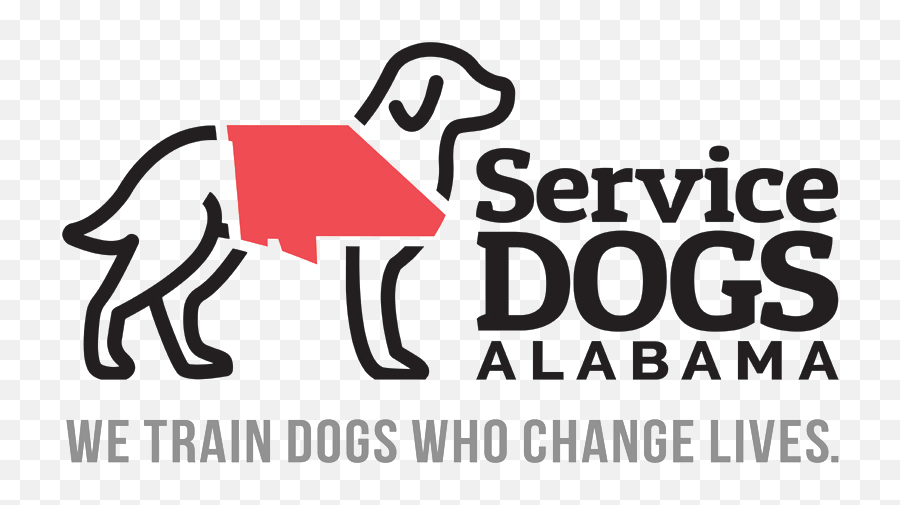 Service Dogs Alabama - Dog Catches Something Png,Dogs Png