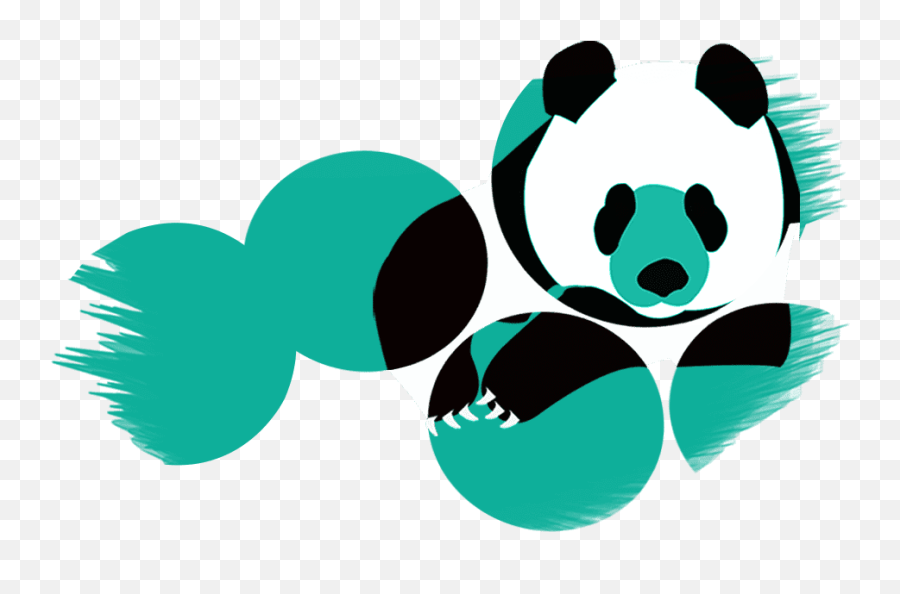 The Web Panda Website Development Company Design Png Bear Icon
