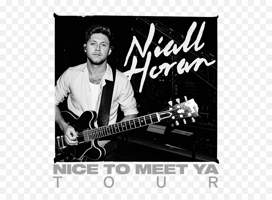 Niall Horan Lewis Capaldi Fletcher Maisie Peters - Nice To Meet Ya Tour 2020 Fleece Blanket Niall Horan Tour 2020 Europe Png,Niall Horan Icon