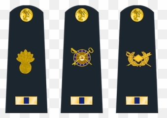 Us Marine Rank Insignia Of World War Ii - Solid png