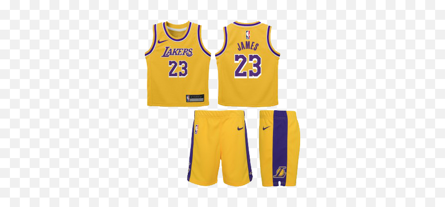 Box Nba Lakers James Maillot Short Icon Edition - Short Lebron James Lakers Png,Cleveland Cavaliers Icon Set