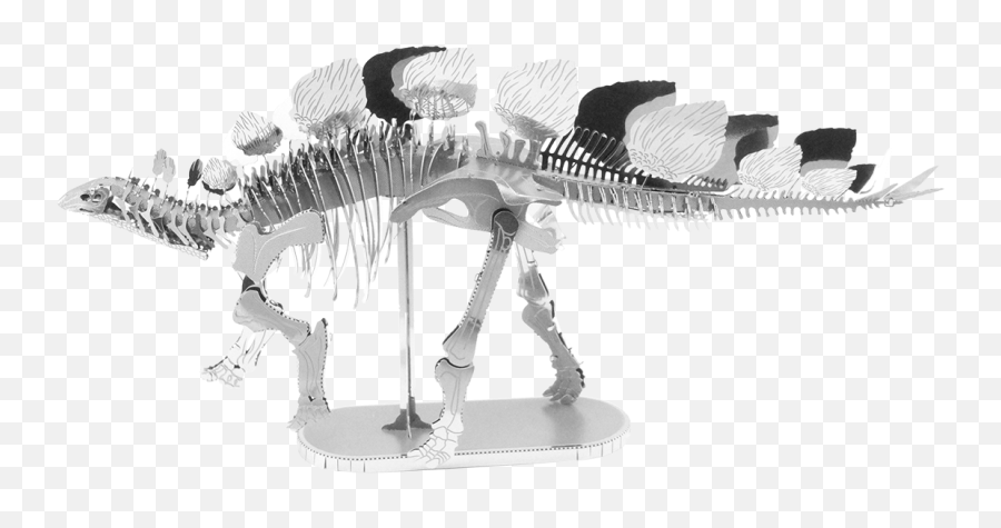 Metal Earth Stegosaurus Skeleton Diy 3d - Metal Earth 3d Model Kit Png,Dinosaur Skull Png