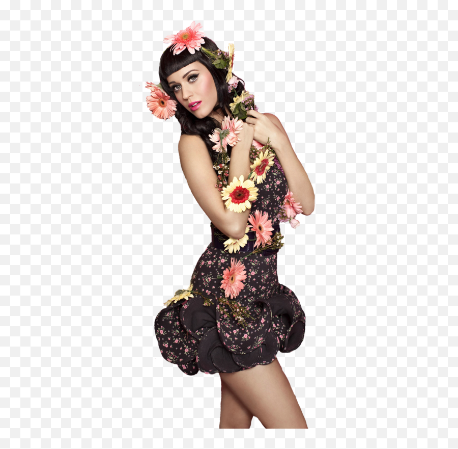 Katy Perry Png Transparent - Not Like The Movies Katy Perry,Katy Perry Png