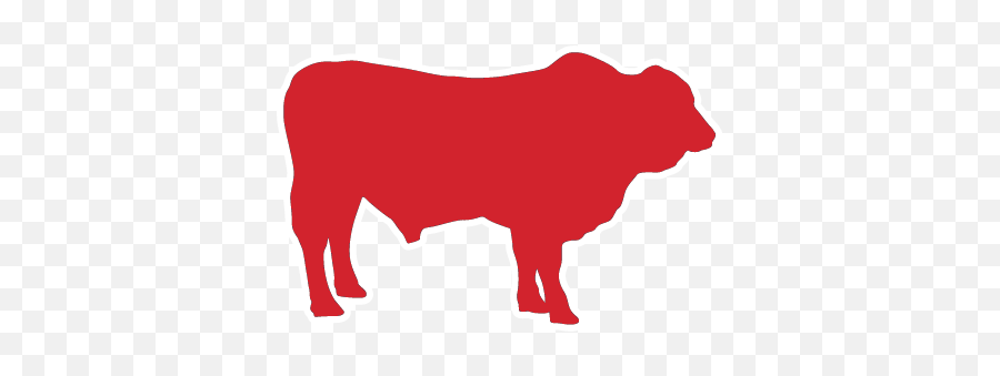 Bu0026b Charcoal Texas Cattle Call Rub U0026 Seasoning - Animal Figure Png,Beef Icon Vector