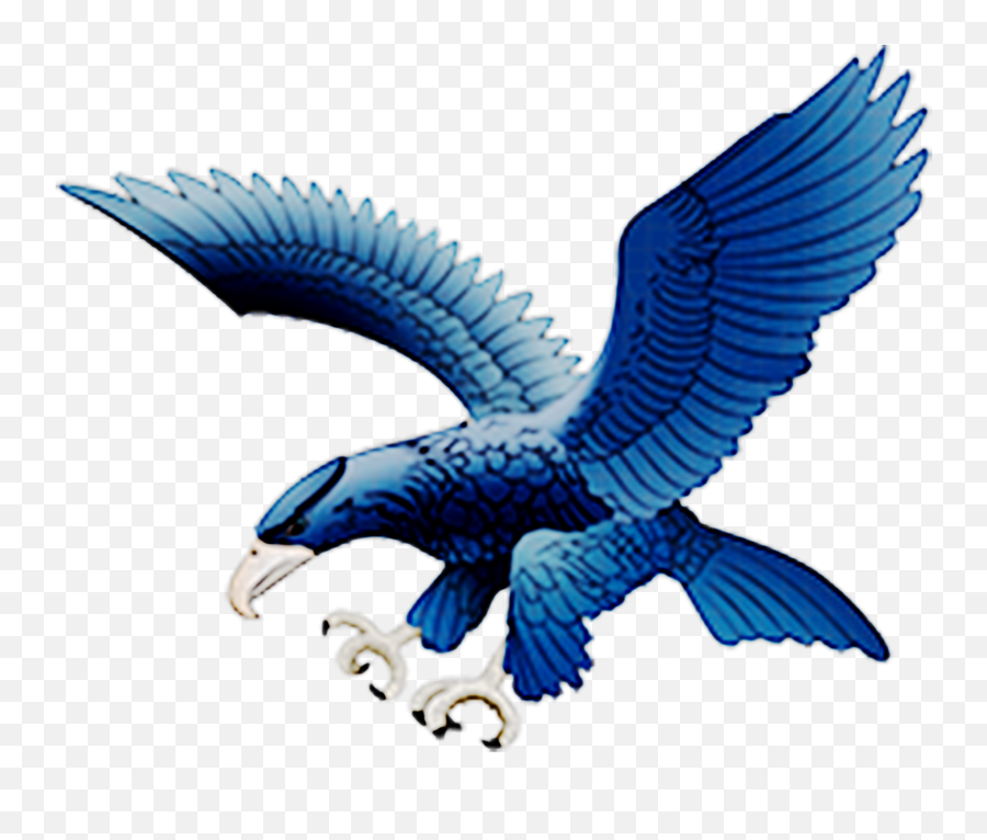 Ateneo Blue Eagles - Logo Ateneo Blue Eagles Png,Eagles Logo Png