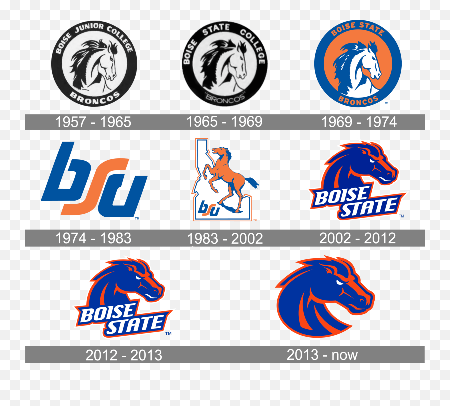 Binghamton Bearcats Logo And Symbol Meaning History Png - Language,Broncos Icon